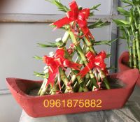 Thuyền buồm 5 làn