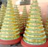 Cây 11 tầng - anh 1 Cây 11 tầng - anh 1