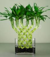 Khánh lộc để bàn