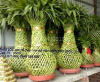 Nậm to cao cổ