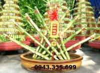 Quạt đuôi công 5 tầng