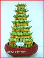 Sử dụng cây phát lộc hợp phong thủy